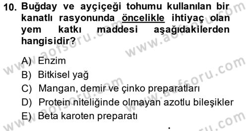 Temel Yem Bilgisi ve Hayvan Besleme Dersi 2014 - 2015 Yılı (Vize) Ara Sınavı 10. Soru