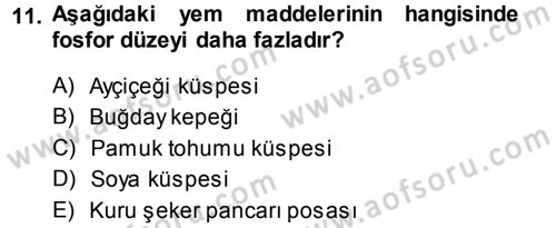 Temel Yem Bilgisi ve Hayvan Besleme Dersi 2014 - 2015 Yılı (Vize) Ara Sınavı 11. Soru