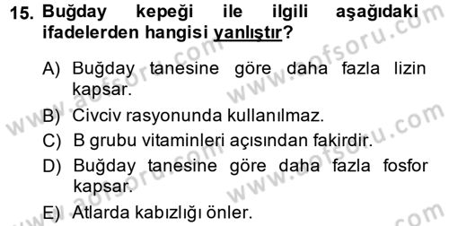 Temel Yem Bilgisi ve Hayvan Besleme Dersi 2014 - 2015 Yılı (Vize) Ara Sınavı 15. Soru