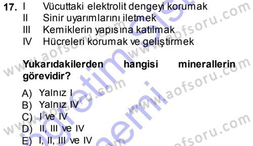 Temel Yem Bilgisi ve Hayvan Besleme Dersi 2014 - 2015 Yılı (Vize) Ara Sınavı 17. Soru