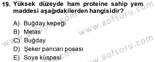 Temel Yem Bilgisi ve Hayvan Besleme Dersi 2014 - 2015 Yılı (Vize) Ara Sınavı 19. Soru