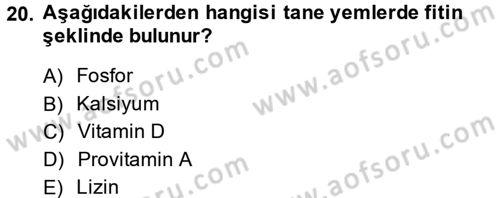 Temel Yem Bilgisi ve Hayvan Besleme Dersi 2014 - 2015 Yılı (Vize) Ara Sınavı 20. Soru