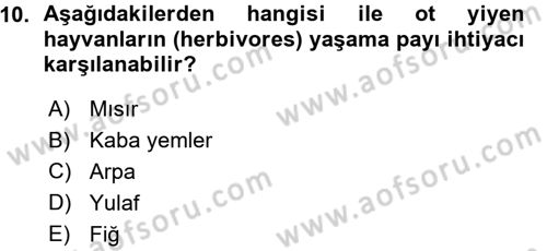 Temel Yem Bilgisi ve Hayvan Besleme Dersi 2015 - 2016 Yılı (Vize) Ara Sınavı 10. Soru