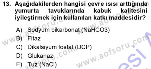 Temel Yem Bilgisi ve Hayvan Besleme Dersi 2015 - 2016 Yılı (Vize) Ara Sınavı 13. Soru