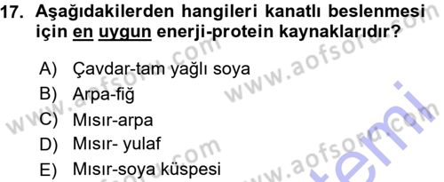 Temel Yem Bilgisi ve Hayvan Besleme Dersi 2015 - 2016 Yılı (Vize) Ara Sınavı 17. Soru