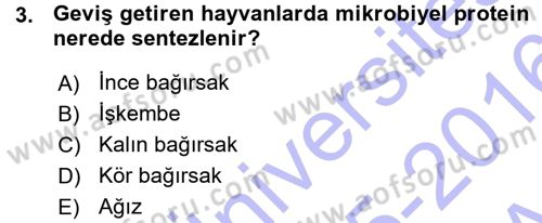 Temel Yem Bilgisi ve Hayvan Besleme Dersi Ara Sınavı Deneme Sınav Soruları 3. Soru