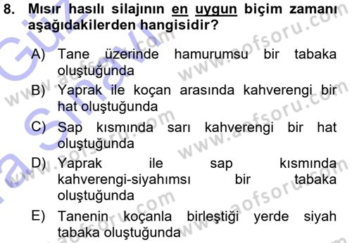 Temel Yem Bilgisi ve Hayvan Besleme Dersi 2015 - 2016 Yılı (Vize) Ara Sınavı 8. Soru