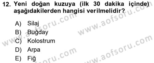 Temel Yem Bilgisi ve Hayvan Besleme Dersi 2015 - 2016 Yılı (Final) Dönem Sonu Sınavı 12. Soru