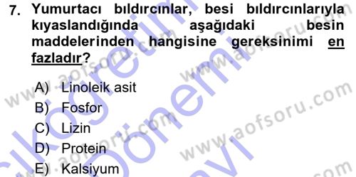 Temel Yem Bilgisi ve Hayvan Besleme Dersi 2015 - 2016 Yılı (Final) Dönem Sonu Sınavı 7. Soru