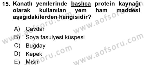 Temel Yem Bilgisi ve Hayvan Besleme Dersi 2016 - 2017 Yılı 3 Ders Sınavı 15. Soru