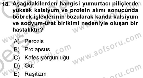 Temel Yem Bilgisi ve Hayvan Besleme Dersi 2016 - 2017 Yılı 3 Ders Sınavı 18. Soru