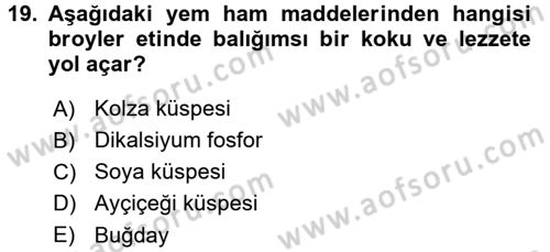 Temel Yem Bilgisi ve Hayvan Besleme Dersi 2016 - 2017 Yılı 3 Ders Sınavı 19. Soru