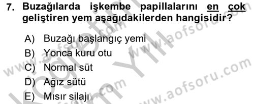 Temel Yem Bilgisi ve Hayvan Besleme Dersi 2016 - 2017 Yılı 3 Ders Sınavı 7. Soru