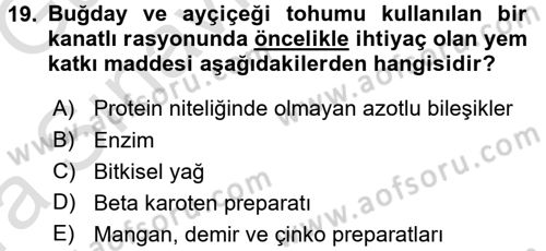 Temel Yem Bilgisi ve Hayvan Besleme Dersi 2016 - 2017 Yılı (Vize) Ara Sınavı 19. Soru