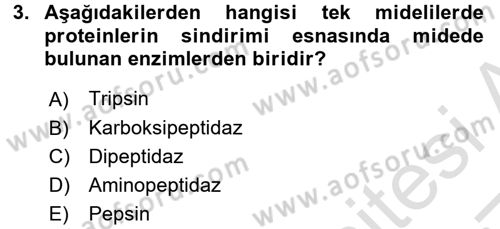 Temel Yem Bilgisi ve Hayvan Besleme Dersi 2016 - 2017 Yılı (Vize) Ara Sınavı 3. Soru