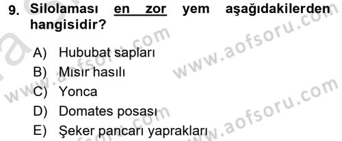 Temel Yem Bilgisi ve Hayvan Besleme Dersi 2016 - 2017 Yılı (Vize) Ara Sınavı 9. Soru