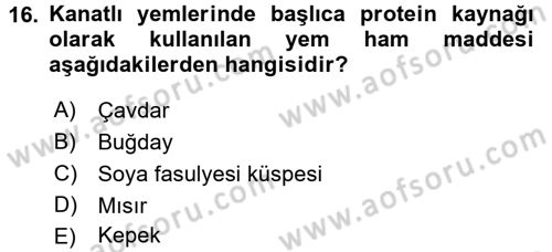 Temel Yem Bilgisi ve Hayvan Besleme Dersi 2016 - 2017 Yılı (Final) Dönem Sonu Sınavı 16. Soru