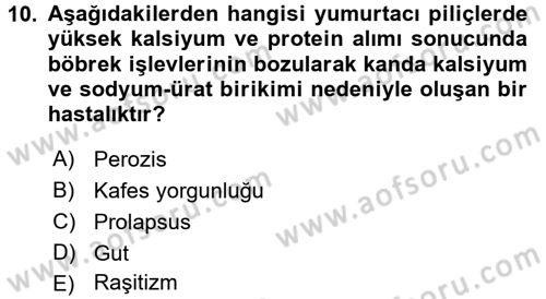 Temel Yem Bilgisi ve Hayvan Besleme Dersi 2017 - 2018 Yılı 3 Ders Sınavı 10. Soru