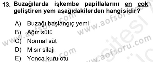 Temel Yem Bilgisi ve Hayvan Besleme Dersi 2017 - 2018 Yılı 3 Ders Sınavı 13. Soru