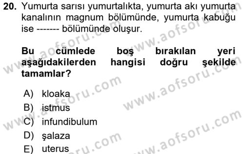 Temel Yem Bilgisi ve Hayvan Besleme Dersi 2017 - 2018 Yılı 3 Ders Sınavı 20. Soru