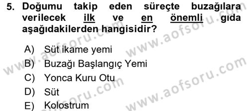 Temel Yem Bilgisi ve Hayvan Besleme Dersi 2017 - 2018 Yılı 3 Ders Sınavı 5. Soru