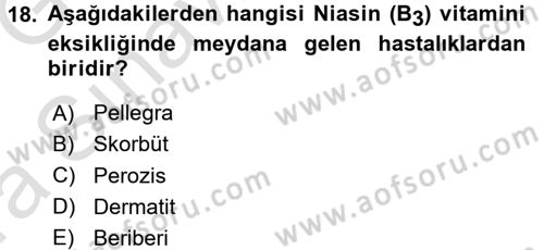 Temel Yem Bilgisi ve Hayvan Besleme Dersi 2017 - 2018 Yılı (Vize) Ara Sınavı 18. Soru