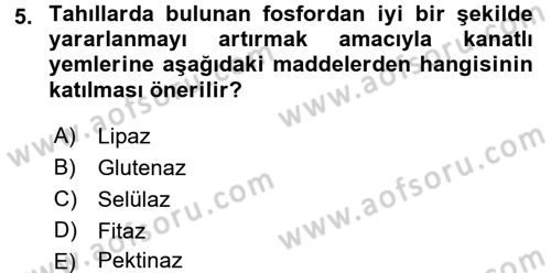 Temel Yem Bilgisi ve Hayvan Besleme Dersi 2017 - 2018 Yılı (Vize) Ara Sınavı 5. Soru