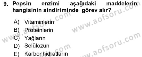 Temel Yem Bilgisi ve Hayvan Besleme Dersi 2017 - 2018 Yılı (Vize) Ara Sınavı 9. Soru