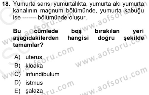 Temel Yem Bilgisi ve Hayvan Besleme Dersi 2017 - 2018 Yılı (Final) Dönem Sonu Sınavı 18. Soru