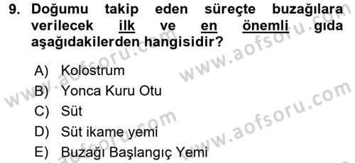 Temel Yem Bilgisi ve Hayvan Besleme Dersi 2017 - 2018 Yılı (Final) Dönem Sonu Sınavı 9. Soru