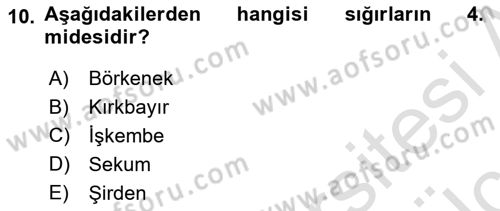 Temel Yem Bilgisi ve Hayvan Besleme Dersi 2018 - 2019 Yılı 3 Ders Sınavı 10. Soru