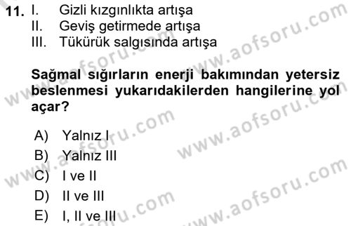 Temel Yem Bilgisi ve Hayvan Besleme Dersi 2018 - 2019 Yılı 3 Ders Sınavı 11. Soru