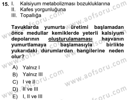 Temel Yem Bilgisi ve Hayvan Besleme Dersi 2018 - 2019 Yılı 3 Ders Sınavı 15. Soru