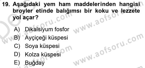 Temel Yem Bilgisi ve Hayvan Besleme Dersi 2018 - 2019 Yılı 3 Ders Sınavı 19. Soru