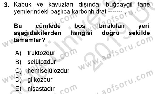 Temel Yem Bilgisi ve Hayvan Besleme Dersi 2018 - 2019 Yılı 3 Ders Sınavı 3. Soru