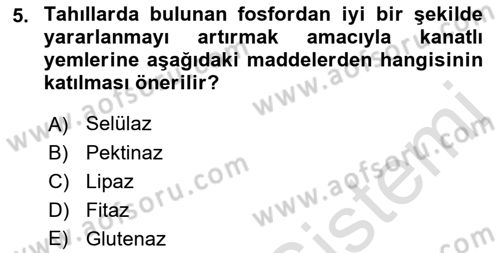 Temel Yem Bilgisi ve Hayvan Besleme Dersi 2018 - 2019 Yılı 3 Ders Sınavı 5. Soru