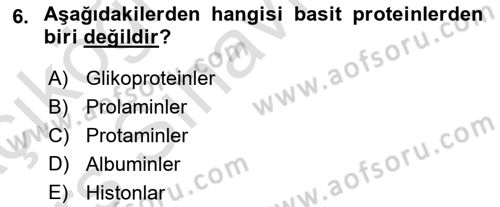 Temel Yem Bilgisi ve Hayvan Besleme Dersi 2018 - 2019 Yılı 3 Ders Sınavı 6. Soru