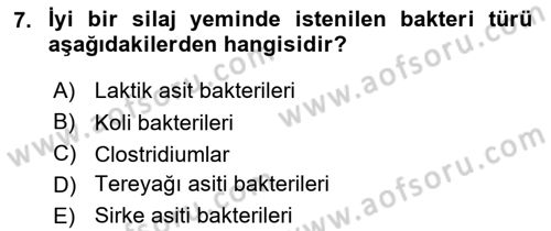 Temel Yem Bilgisi ve Hayvan Besleme Dersi 2018 - 2019 Yılı 3 Ders Sınavı 7. Soru