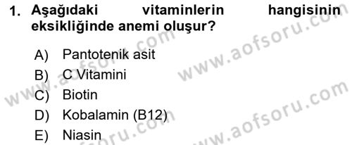 Temel Yem Bilgisi ve Hayvan Besleme Dersi 2018 - 2019 Yılı (Vize) Ara Sınavı 1. Soru