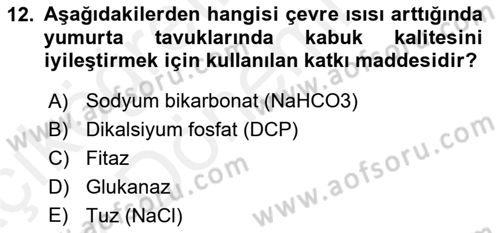 Temel Yem Bilgisi ve Hayvan Besleme Dersi 2018 - 2019 Yılı (Vize) Ara Sınavı 12. Soru