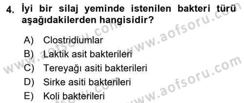 Temel Yem Bilgisi ve Hayvan Besleme Dersi 2018 - 2019 Yılı (Vize) Ara Sınavı 4. Soru