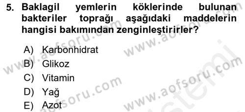 Temel Yem Bilgisi ve Hayvan Besleme Dersi 2018 - 2019 Yılı (Vize) Ara Sınavı 5. Soru