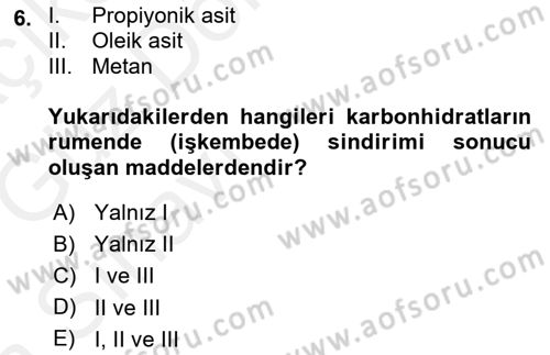 Temel Yem Bilgisi ve Hayvan Besleme Dersi 2018 - 2019 Yılı (Vize) Ara Sınavı 6. Soru