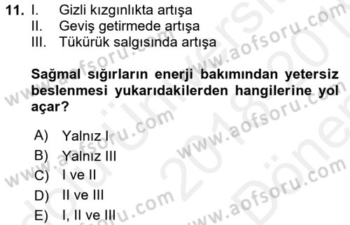 Temel Yem Bilgisi ve Hayvan Besleme Dersi 2018 - 2019 Yılı (Final) Dönem Sonu Sınavı 11. Soru