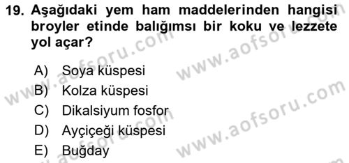 Temel Yem Bilgisi ve Hayvan Besleme Dersi 2018 - 2019 Yılı (Final) Dönem Sonu Sınavı 19. Soru