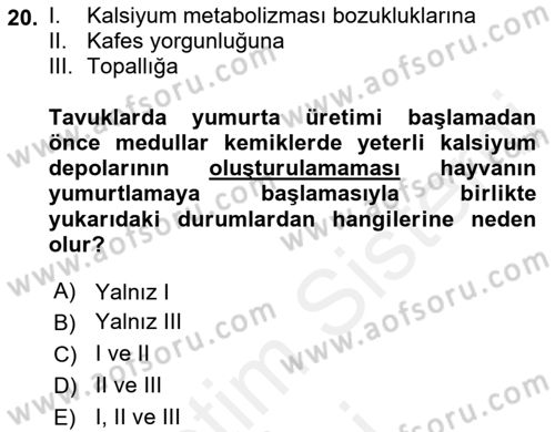 Temel Yem Bilgisi ve Hayvan Besleme Dersi 2018 - 2019 Yılı (Final) Dönem Sonu Sınavı 20. Soru