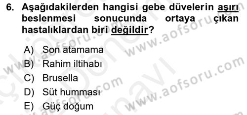 Temel Yem Bilgisi ve Hayvan Besleme Dersi 2018 - 2019 Yılı (Final) Dönem Sonu Sınavı 6. Soru