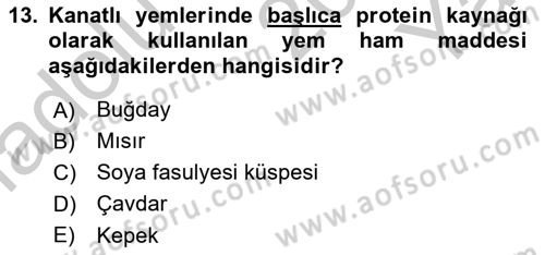 Temel Yem Bilgisi ve Hayvan Besleme Dersi 2018 - 2019 Yılı Yaz Okulu Sınavı 13. Soru