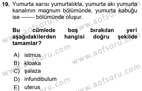 Temel Yem Bilgisi ve Hayvan Besleme Dersi 2018 - 2019 Yılı Yaz Okulu Sınavı 19. Soru