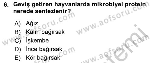 Temel Yem Bilgisi ve Hayvan Besleme Dersi 2018 - 2019 Yılı Yaz Okulu Sınavı 6. Soru